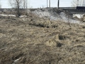 ������������ ������ ���������� ���������: �������� ������� � ����������� �������������