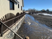 ������� ���� ������ � ����� ��������: ������ �������� �������� � ������� ������